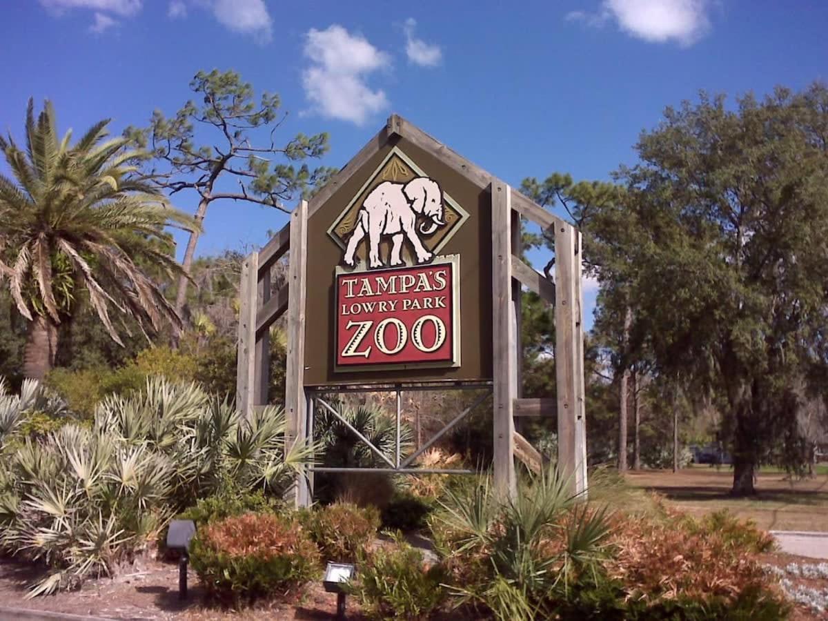 Apartment 5 Mi To Busch Gardens + 2 Mi To Usf + Pool + Gym Tampa